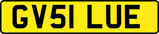 GV51LUE