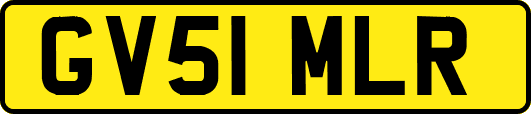 GV51MLR