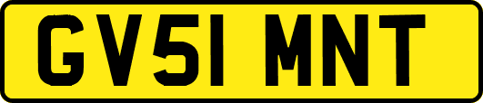 GV51MNT