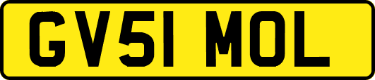 GV51MOL