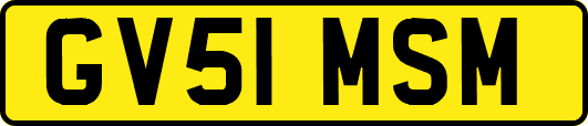 GV51MSM