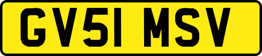 GV51MSV