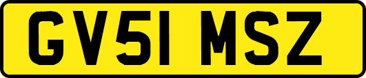 GV51MSZ
