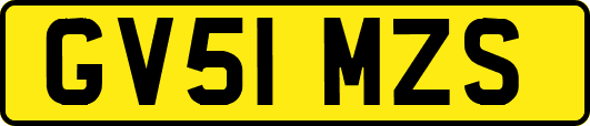 GV51MZS