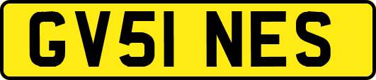 GV51NES