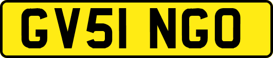 GV51NGO