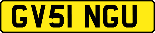 GV51NGU