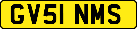 GV51NMS