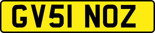 GV51NOZ