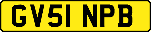 GV51NPB