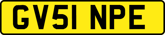 GV51NPE
