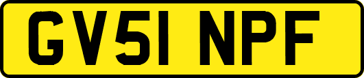 GV51NPF