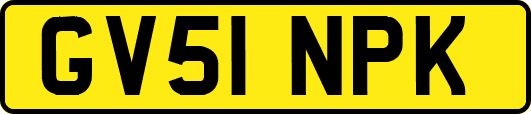 GV51NPK