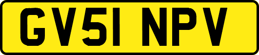 GV51NPV