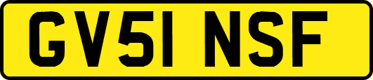 GV51NSF