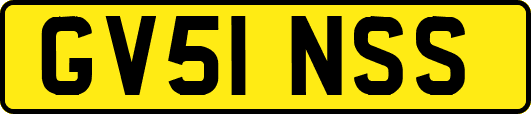 GV51NSS