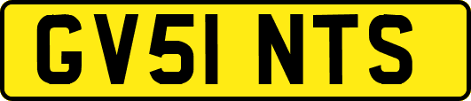 GV51NTS