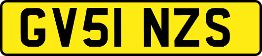 GV51NZS