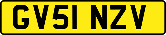 GV51NZV
