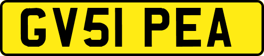 GV51PEA
