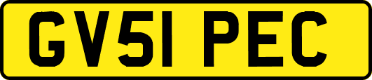 GV51PEC