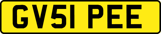 GV51PEE