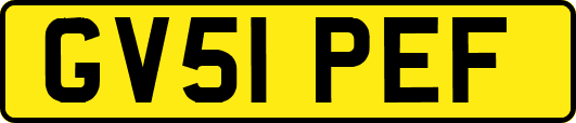 GV51PEF