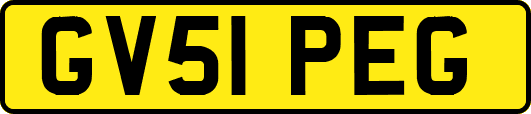 GV51PEG