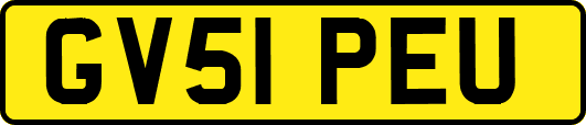 GV51PEU