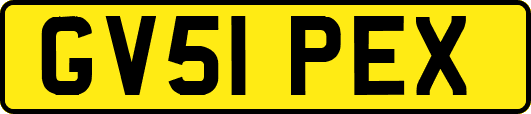 GV51PEX