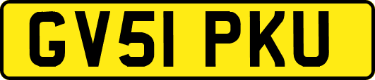 GV51PKU