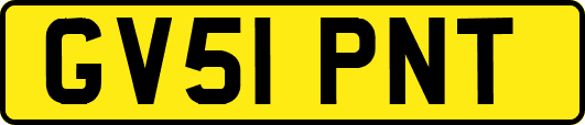 GV51PNT