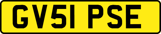 GV51PSE