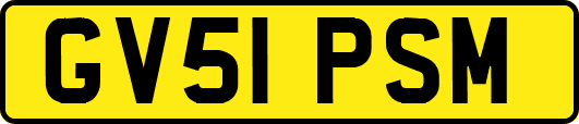 GV51PSM