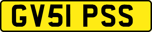 GV51PSS