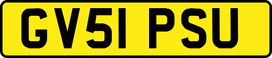 GV51PSU