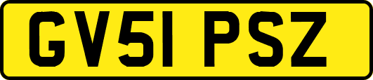 GV51PSZ