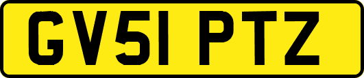 GV51PTZ