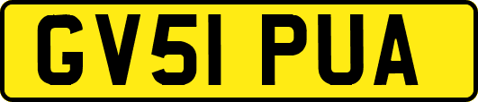 GV51PUA