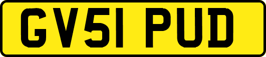 GV51PUD