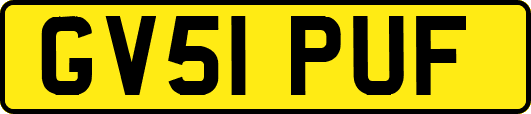 GV51PUF