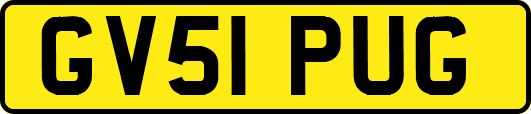 GV51PUG