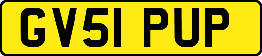 GV51PUP