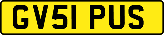 GV51PUS