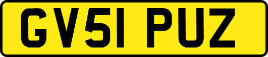 GV51PUZ