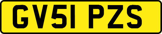 GV51PZS