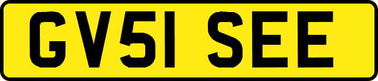 GV51SEE