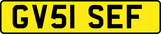 GV51SEF