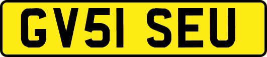 GV51SEU