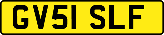GV51SLF